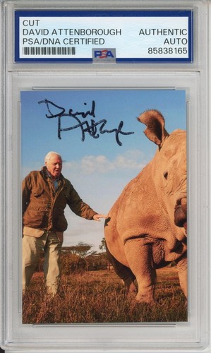 David attenborough signed - attenborough,